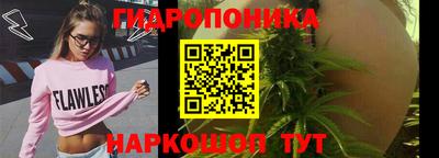 прущая мука Кимры