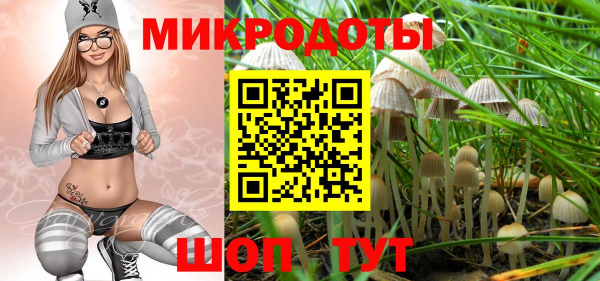 цены   Псилоцибиновые грибы MAGIC MUSHROOMS  Вход с VPN  Лениногорск 