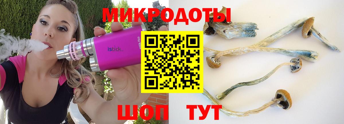 Псилоцибиновые грибы Psilocybine cubensis Лениногорск